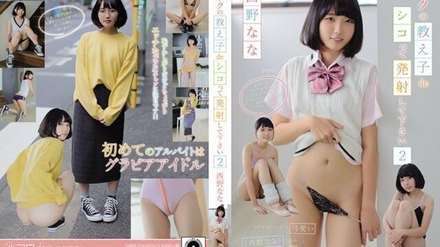 SHIBP-036