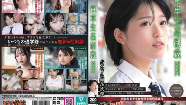 YDNS-003